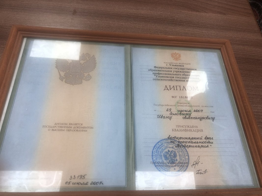 Документ или сертификат