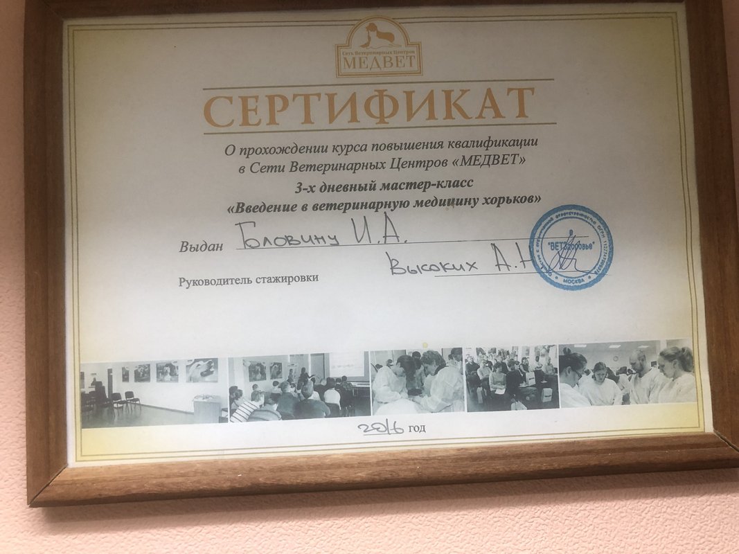 Документ или сертификат