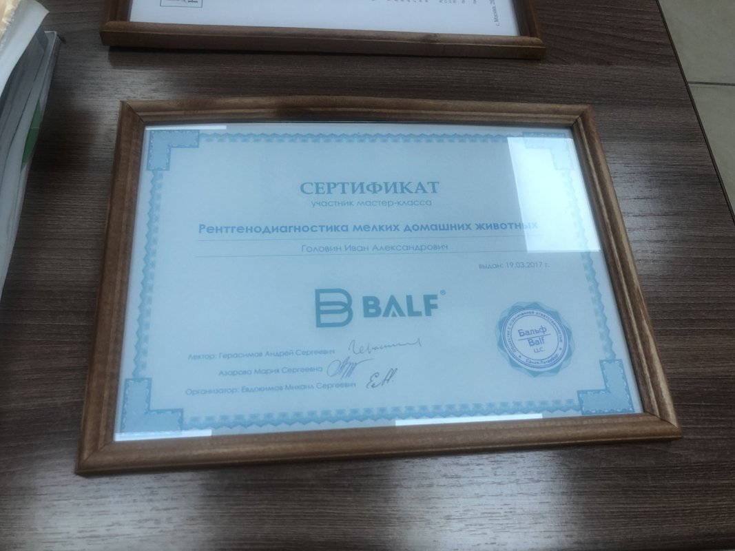 Документ или сертификат