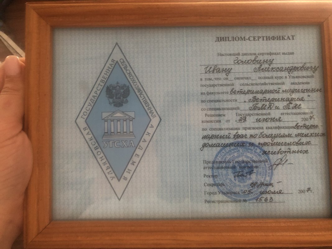 Документ или сертификат