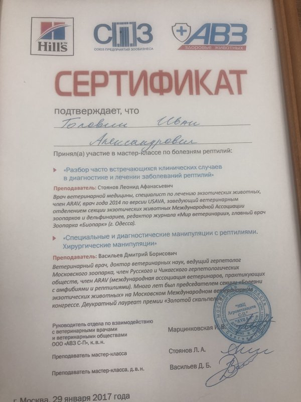 Документ или сертификат