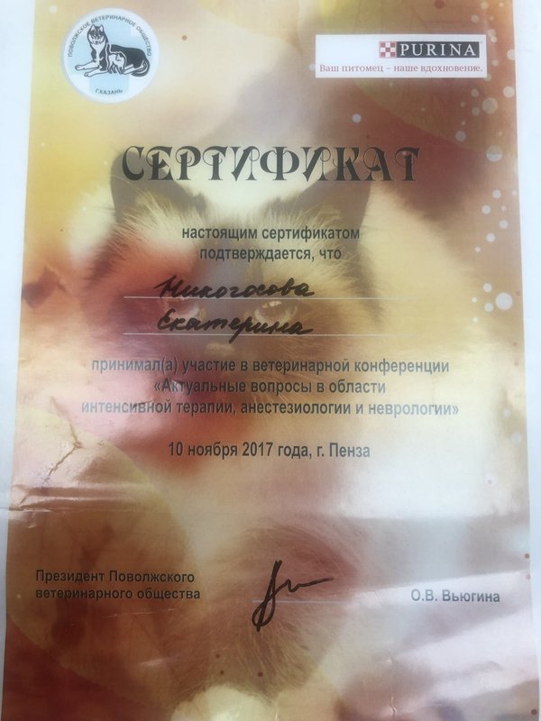 Документ или сертификат