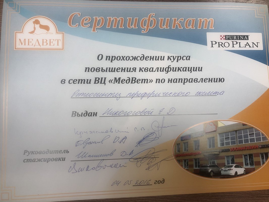 Документ или сертификат