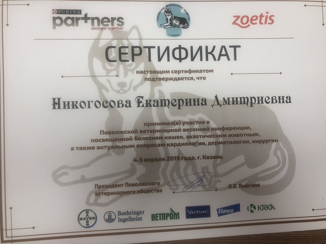 Документ или сертификат