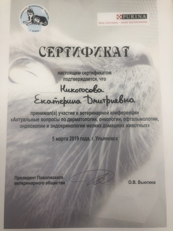 Документ или сертификат