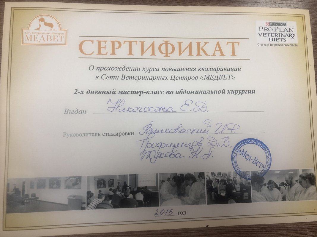 Документ или сертификат