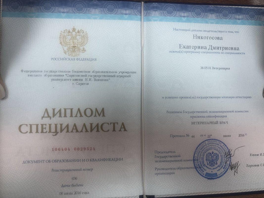 Документ или сертификат