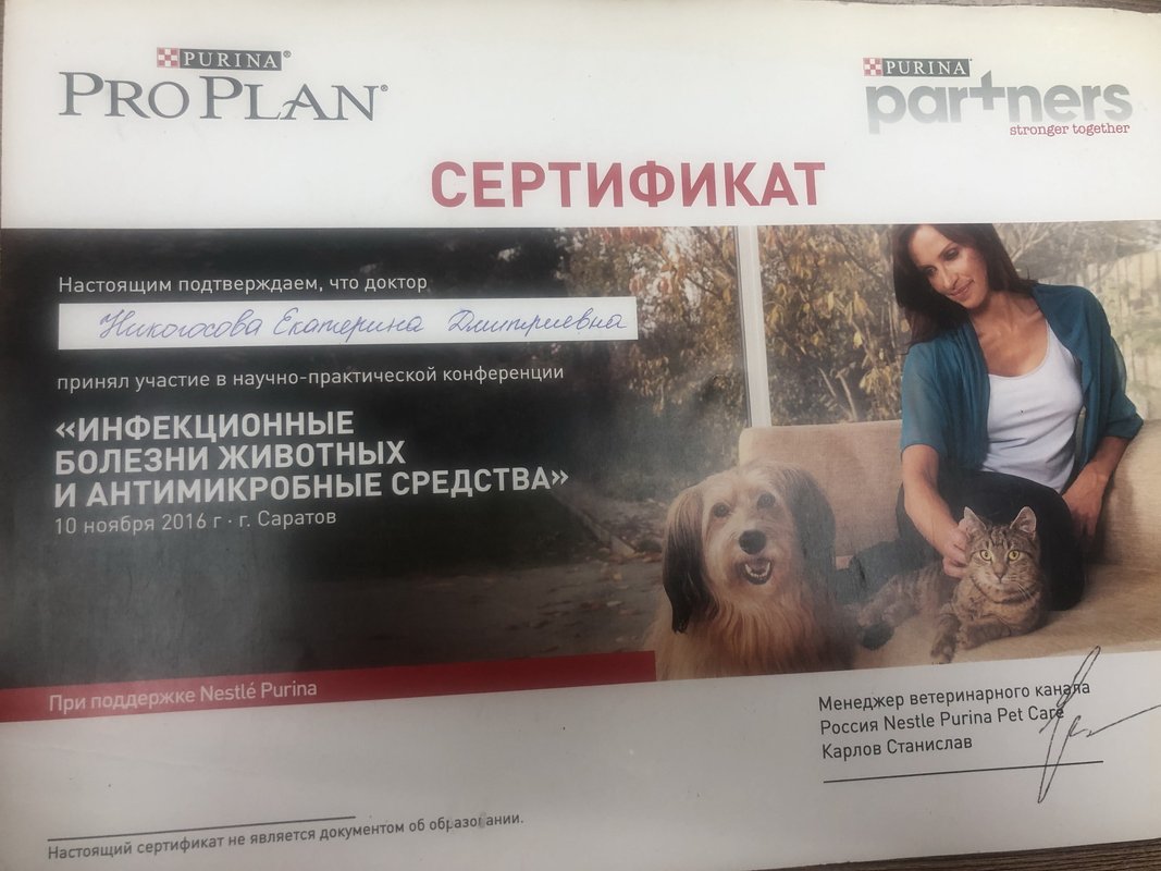 Документ или сертификат
