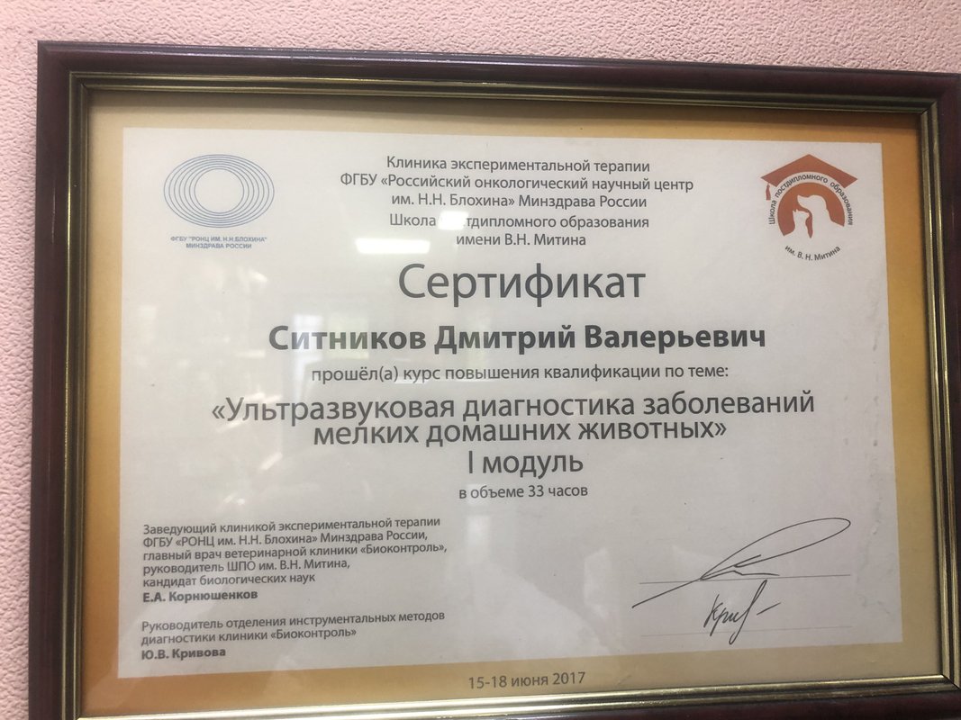 Документ или сертификат