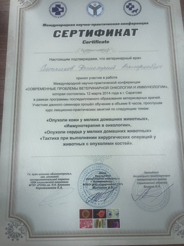 Документ или сертификат