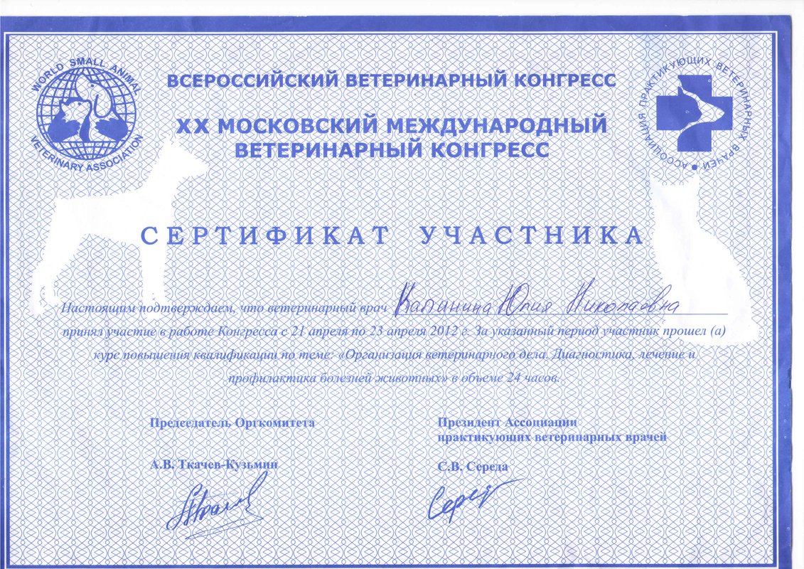 Документ или сертификат