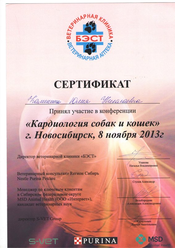 Документ или сертификат