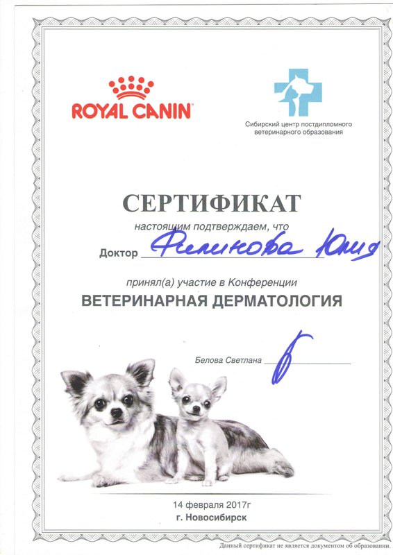 Документ или сертификат