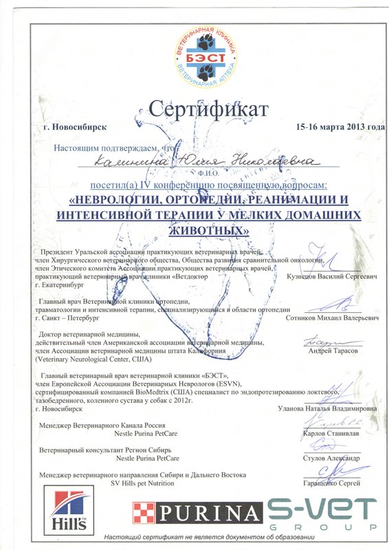 Документ или сертификат