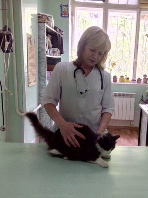 Фото врача Мартынова Светлана Николаевна