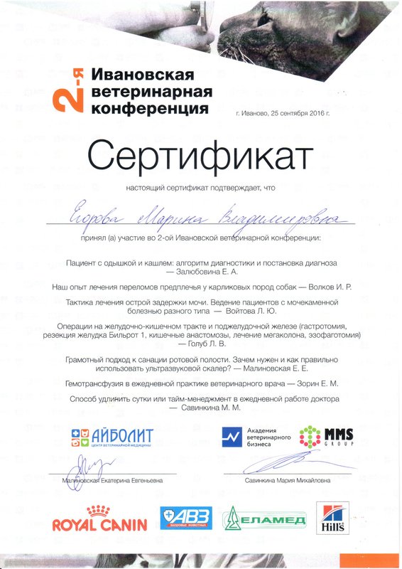 Документ или сертификат
