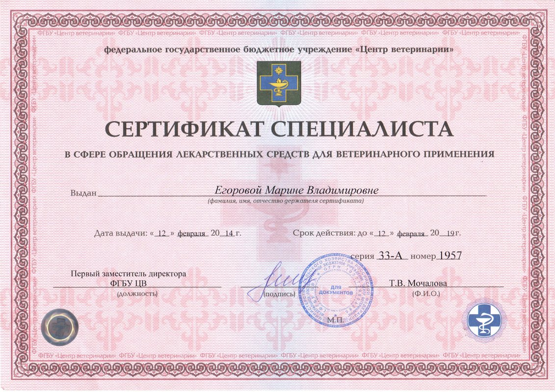 Документ или сертификат