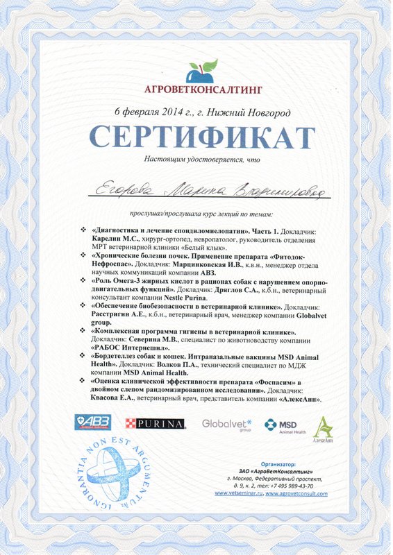 Документ или сертификат