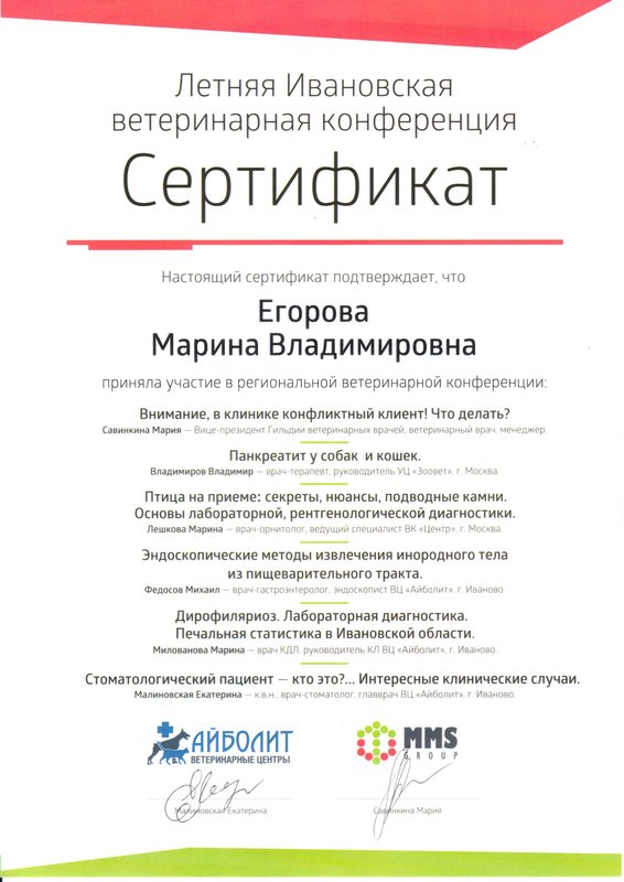 Документ или сертификат