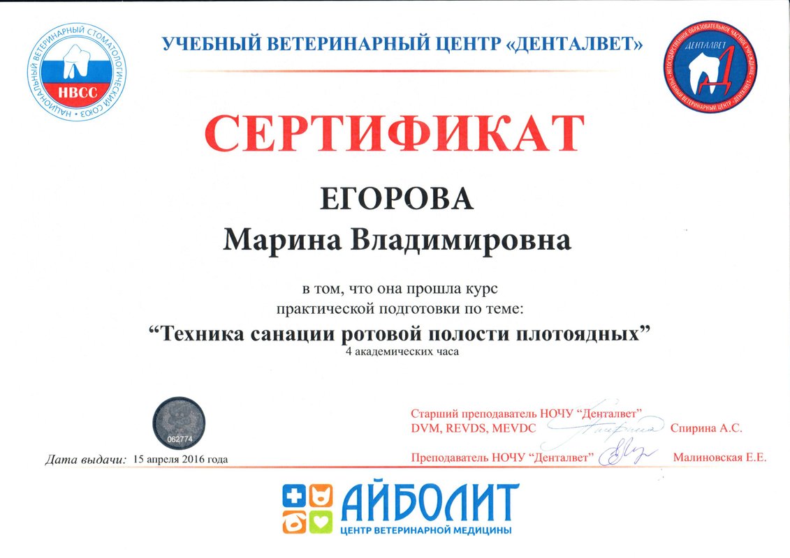 Документ или сертификат