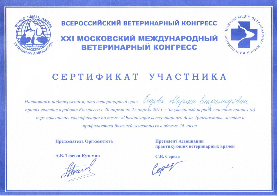 Документ или сертификат