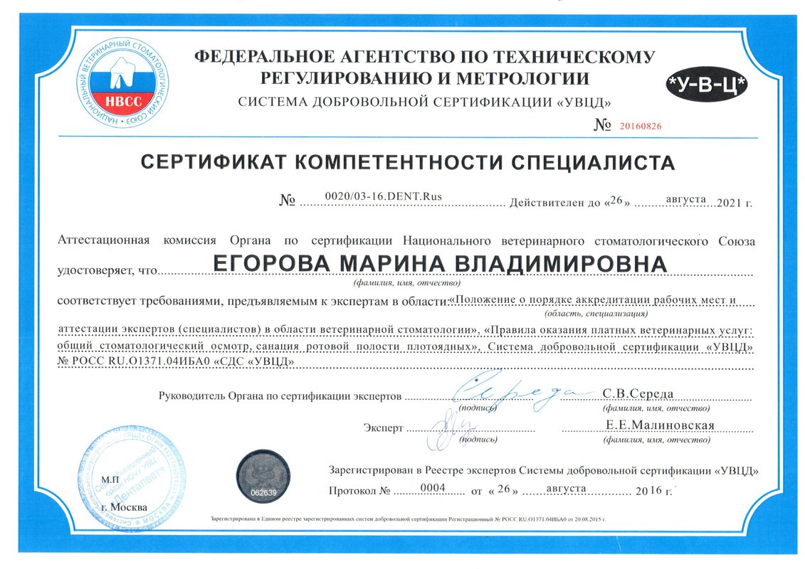 Документ или сертификат