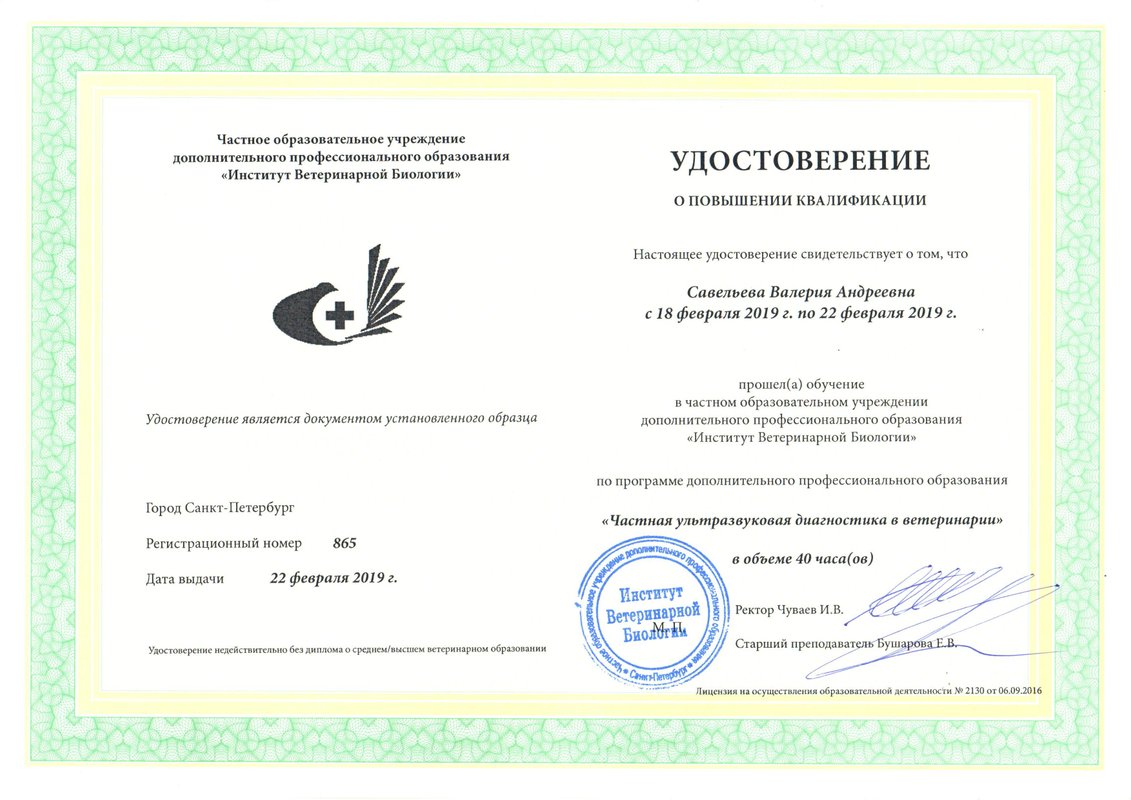Документ или сертификат