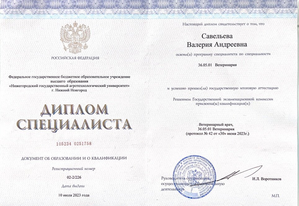 Документ или сертификат