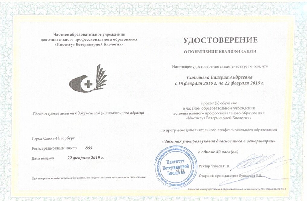 Документ или сертификат