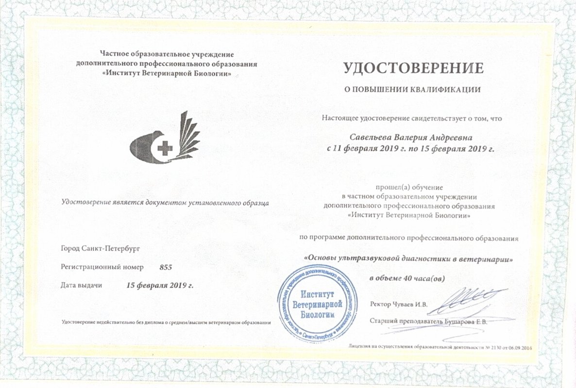 Документ или сертификат