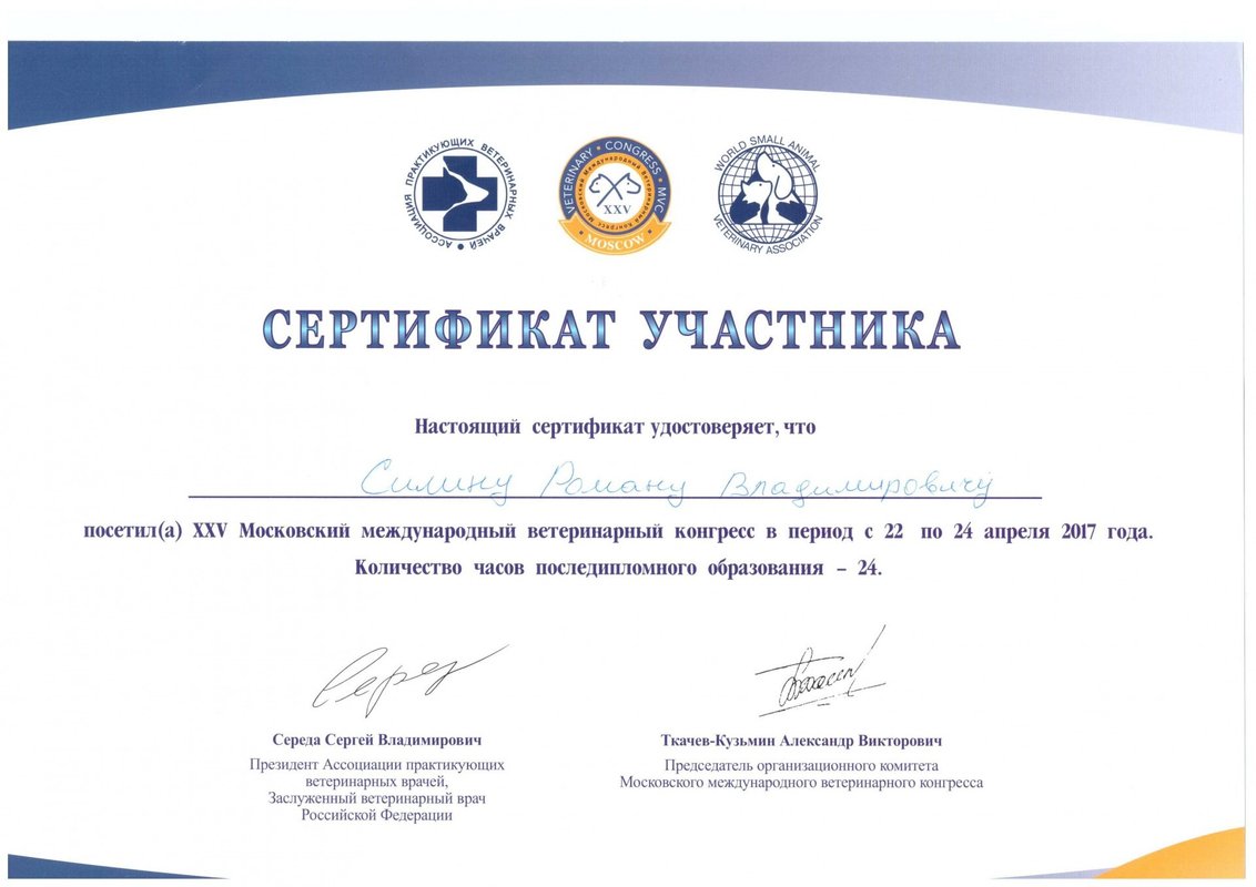 Документ или сертификат