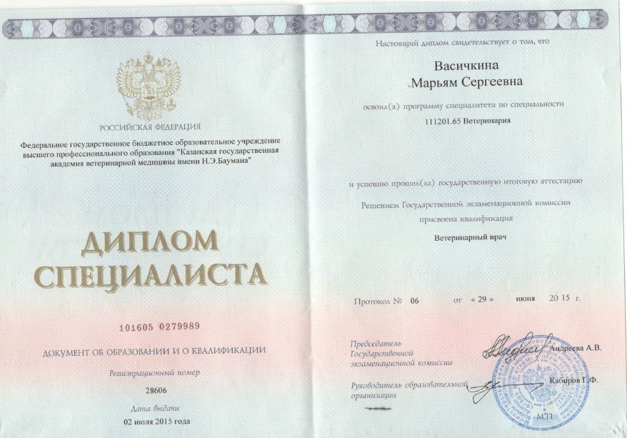 Документ или сертификат