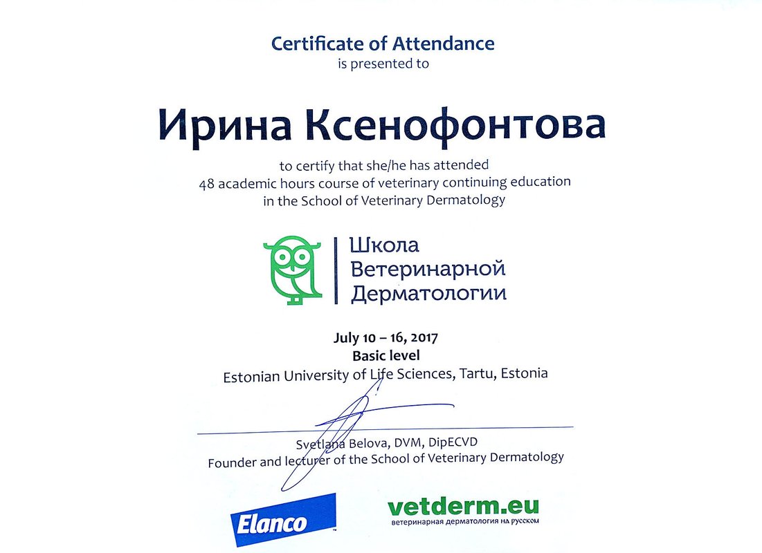 Документ или сертификат