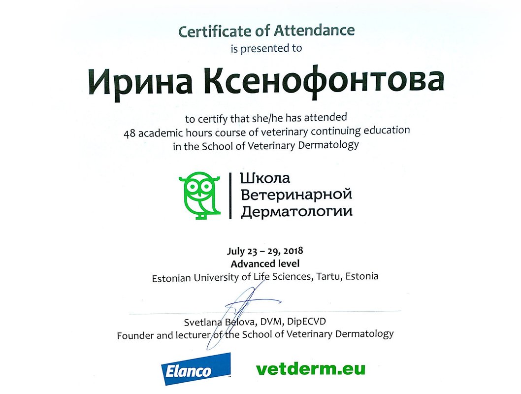 Документ или сертификат