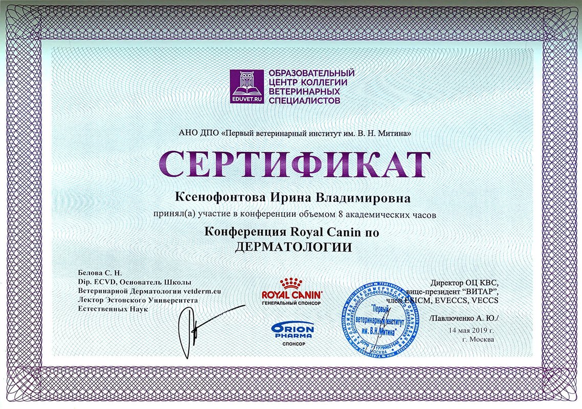 Документ или сертификат