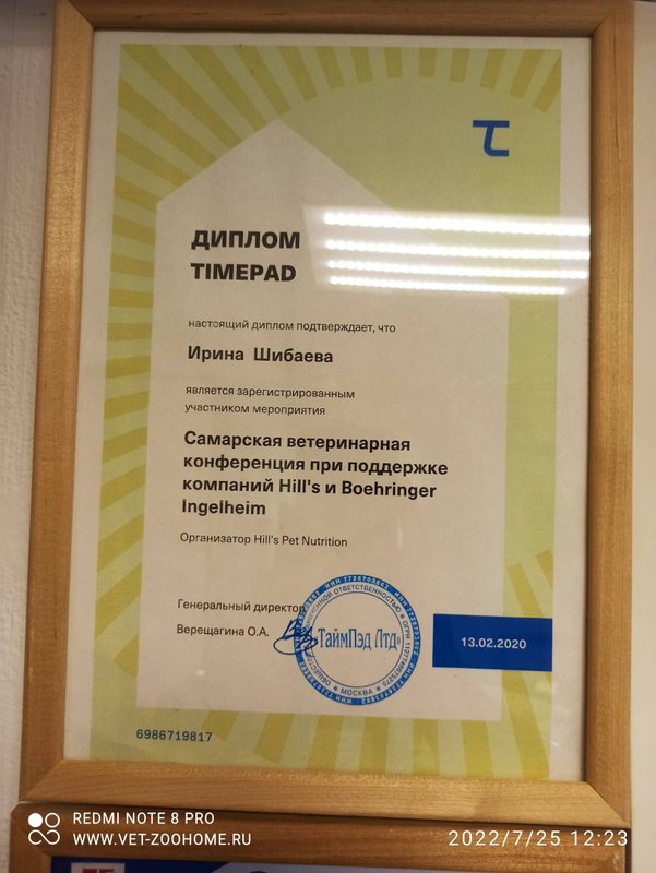 Документ или сертификат