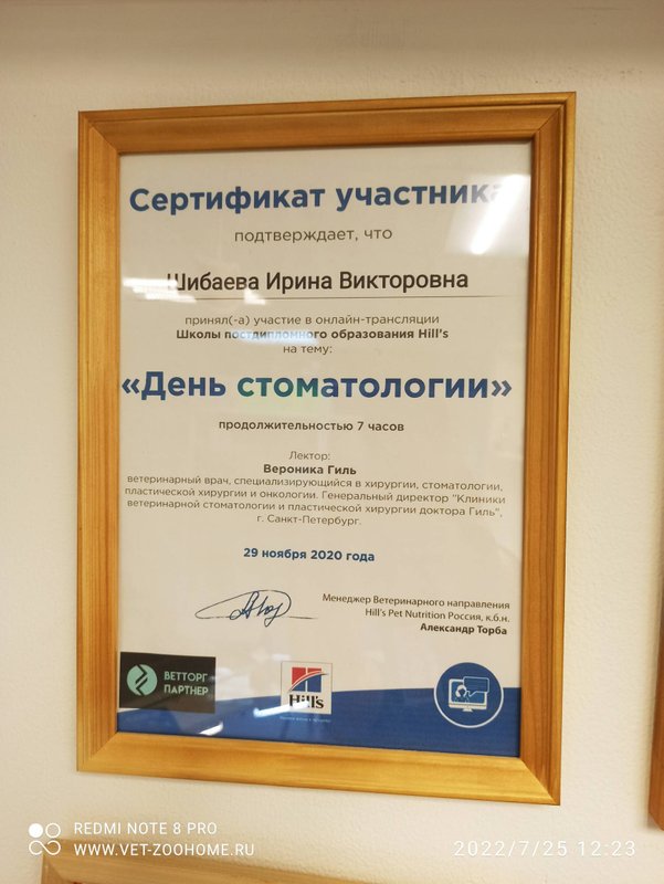 Документ или сертификат