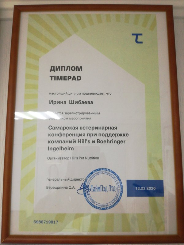 Документ или сертификат