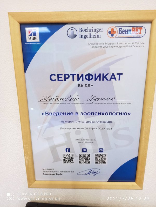 Документ или сертификат