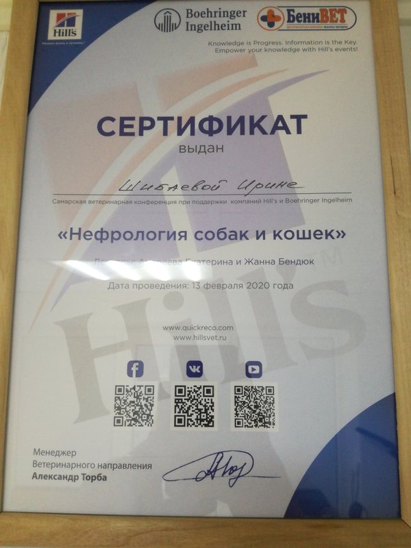 Документ или сертификат