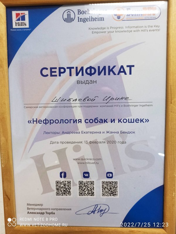 Документ или сертификат