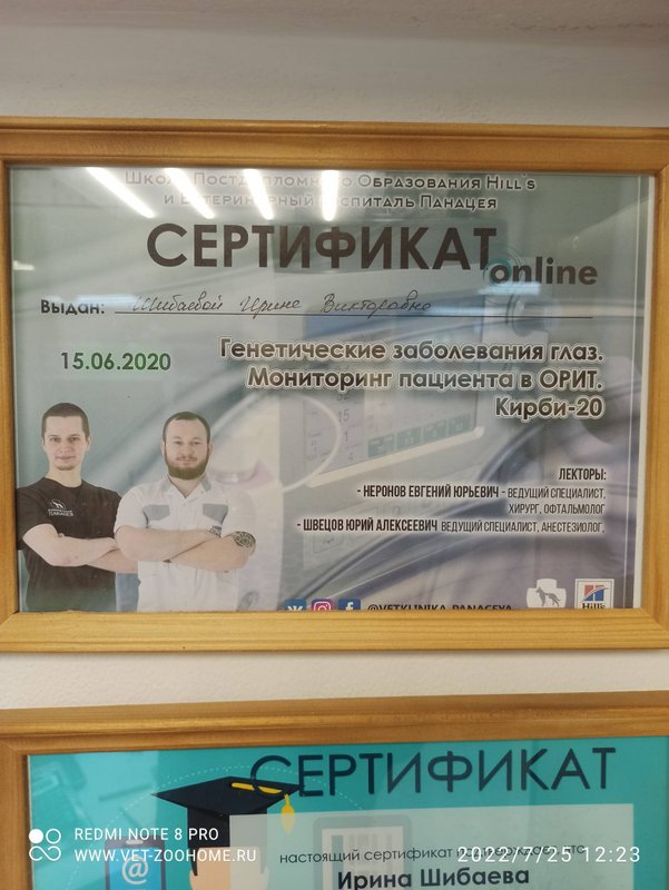 Документ или сертификат