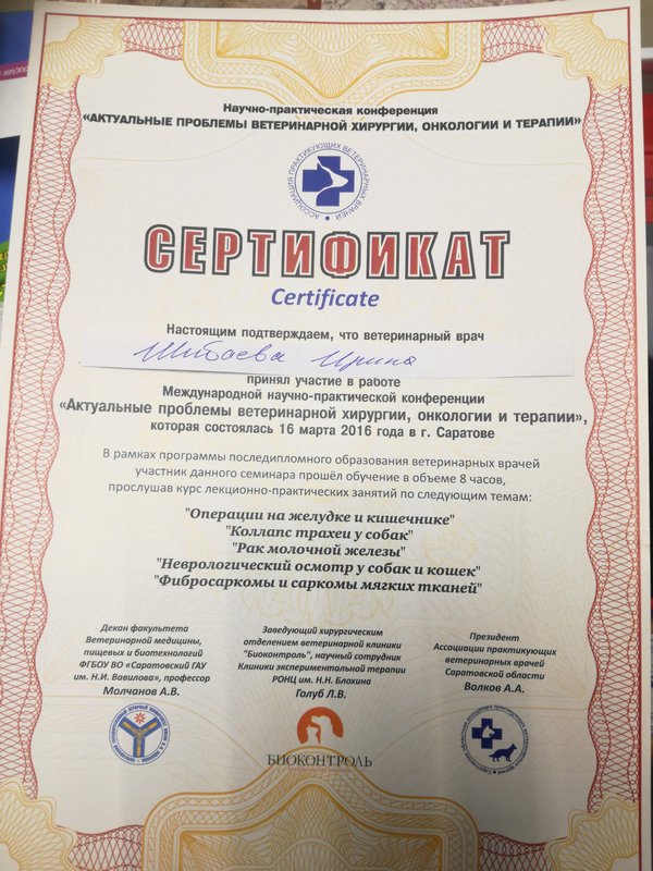Документ или сертификат