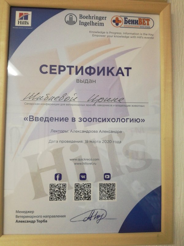 Документ или сертификат