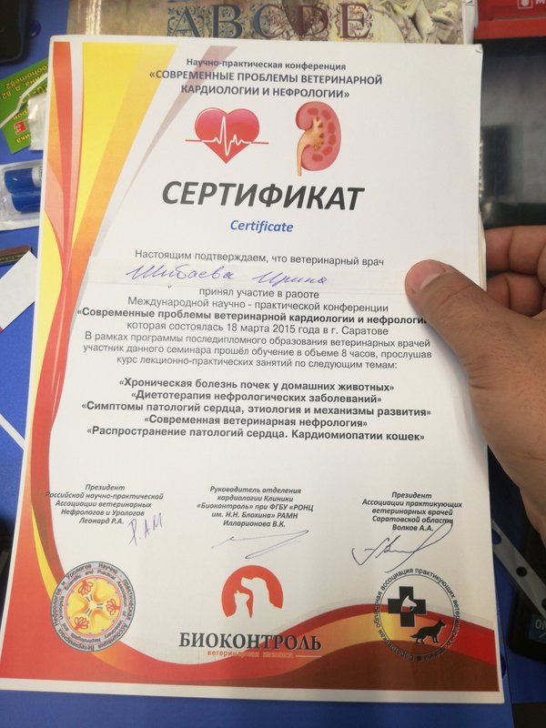 Документ или сертификат