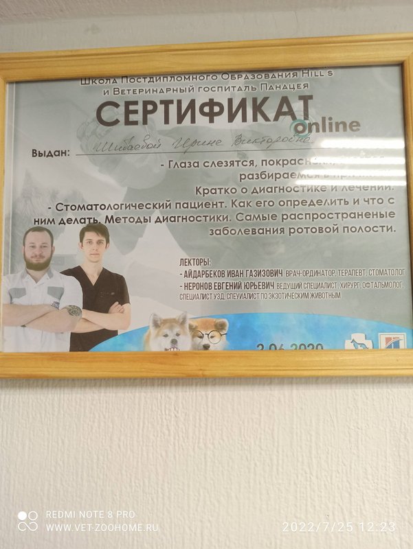 Документ или сертификат