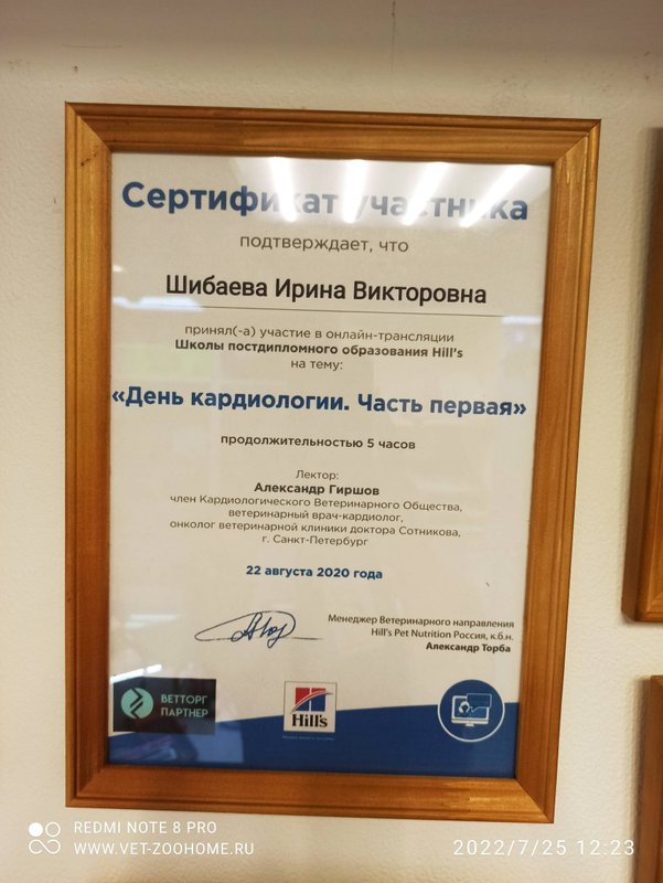 Документ или сертификат