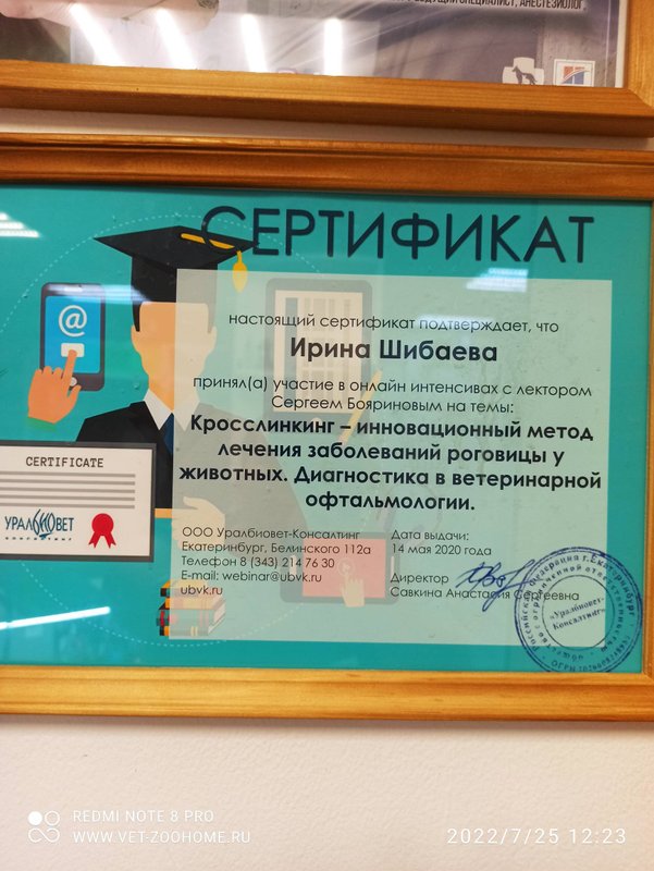 Документ или сертификат