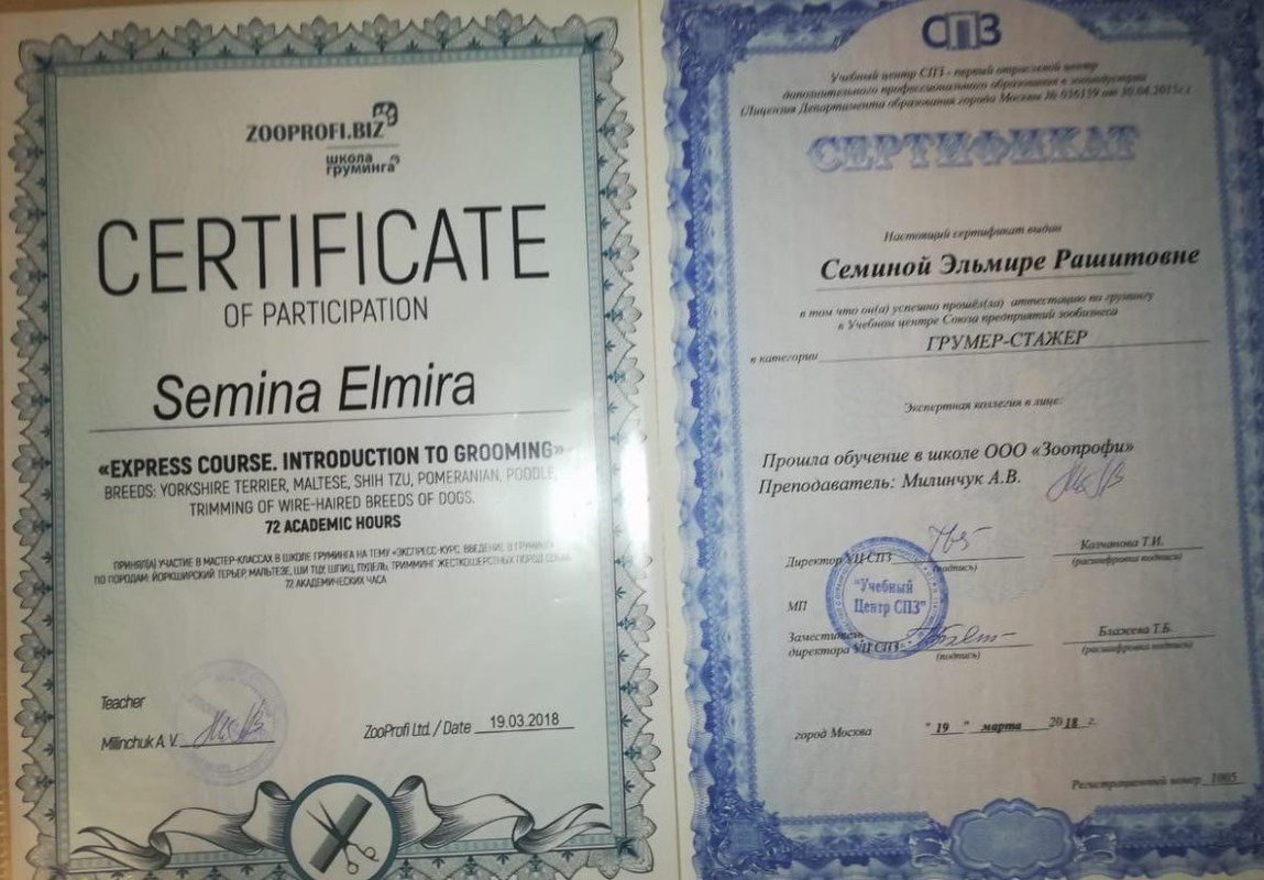 Документ или сертификат
