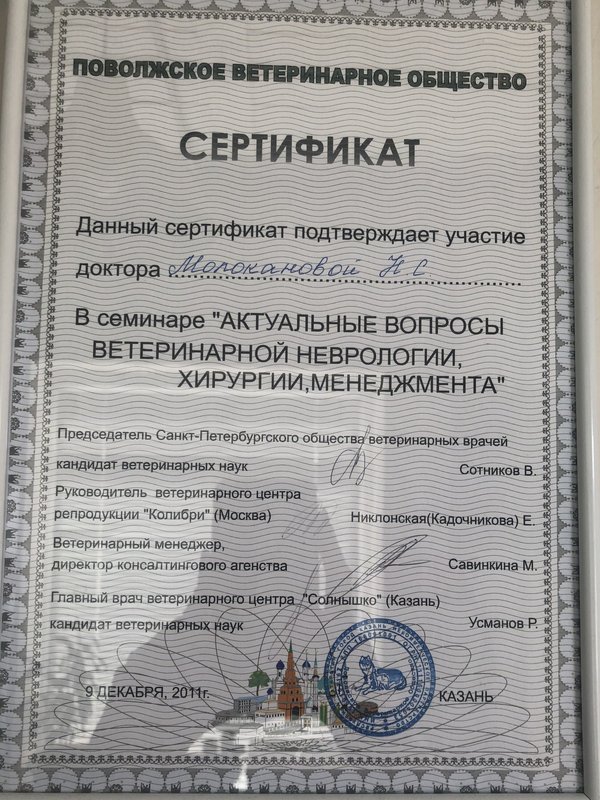 Документ или сертификат